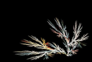 Computer generated fractal pattern and shape