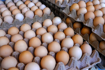 eggs on the varton box in bazaar