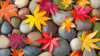 Colorful autumn leaves scattered on smooth stones.