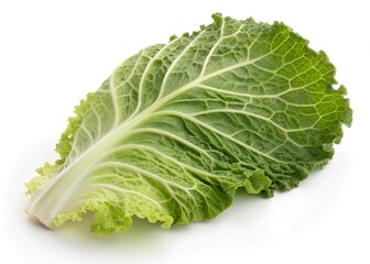 Fresh curly cabbage leaf isolated on white background