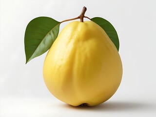 A yellow guava fruit adorned with fresh green leaves