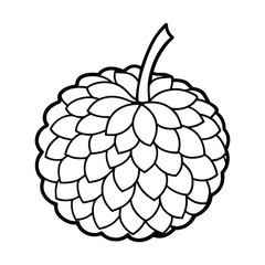 Lychee fruit line art illustration.eps