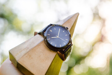 A classic wristwatch with a case and face.