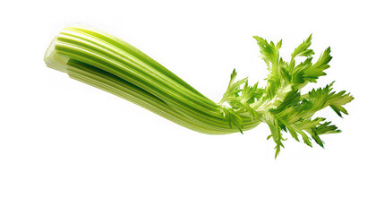 Fototapeta premium Falling celery stalk slice captured isolated on white background