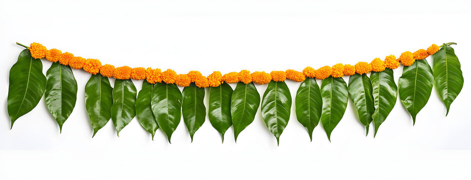 Indian flower garland of mango leaves and marigold flowers. Ugadi diwali ganesha festival poojas weddings functions holiday ornate decoration. Isolated on white background natural mango leaf garland