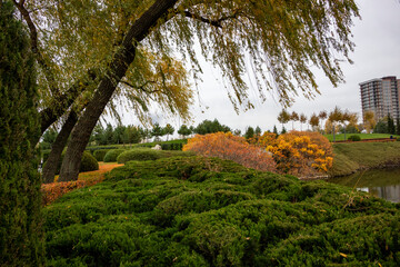 willow branches,trees and decorative bushes on the shore, stone shore, bridge, river, lake, reflected in water, trees, yellow-red, leaves, colors, cloudy, autumn, modern, landscape,