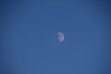 The moon phase first quarter. The half moon in blue sky in day light