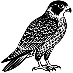 Elegant Falcon Illustration - High-Quality Bird of Prey Artwork