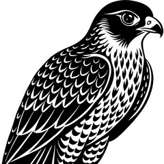 Elegant Falcon Illustration - High-Quality Bird of Prey Artwork