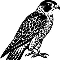 Elegant Falcon Illustration - High-Quality Bird of Prey Artwork