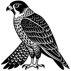 Elegant Falcon Illustration - High-Quality Bird of Prey Artwork
