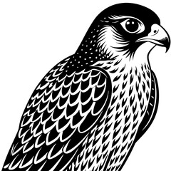 Detailed Falcon Vector - Perfect for Wildlife and Logo Designs