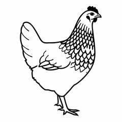 Detailed Chicken Vector Illustration - Farm Animal Design