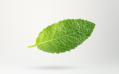 Fototapeta premium A fresh green mint leaf floating mid-air with visible texture on a white background