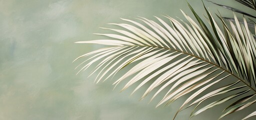 Obraz premium Single palm frond against a sage green background.
