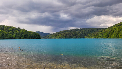 Obraz premium Transparent Turquoise Colored Waters of the Lake Are Having Ripples. Many Small Waterfalls Flowing Into the Lake. Plitvice Lakes, National Park, Croatian Scenery, Waterfall Views, Natural Beauty
