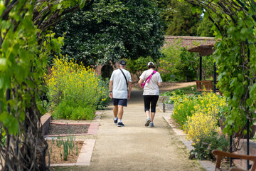 Obraz premium old couple walking with a little dog on a path in a park by the forest. elderly couple in love in australia in spring. cement path