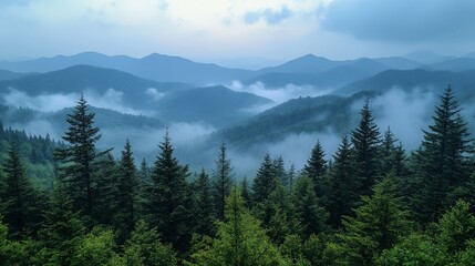 Misty mountain forest panorama, scenic view, travel postcard