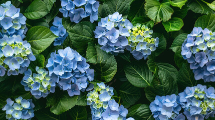 flower blossom pattern wallpaper