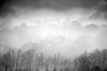 landscape with fog in black and white