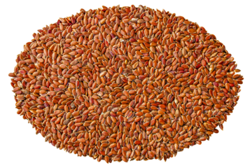 Flax seed, superfood for healthy eating. Isolated on transparent background.