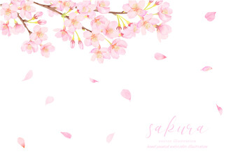 満開の桜のベクターイラスト背景