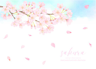 桜の花と青空の背景素材