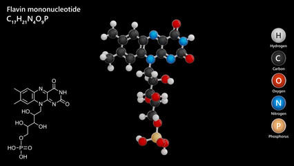 Molecule: Flavin Mononucleotide. E101a food additive. Molecular structure. Formula: C17H21N4O9P. Chemical model: Ball and stick. Black background. 3D illustration.