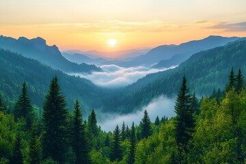 Fototapeta premium Peaceful Sunrise Over Misty Mountain Valley Nature Photography for Posters and Prints