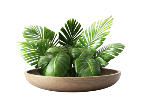 3D Render of Decorative Plants in Wooden Bowl on Isolated Background