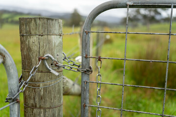 shut farm gate in a field