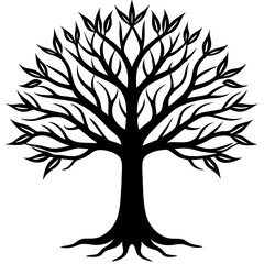 Fototapeta premium Beautiful tree silhouette vector white background 