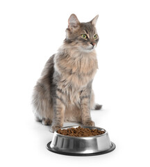 Cute cat near feeding bowl with dry pet food on white background