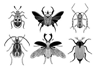 Hand drawn bugs set. Beetle, chafer, scarab, stag beetle