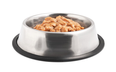 Wet pet food in feeding bowl on white background