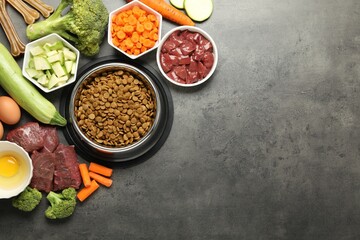 Dry pet food and natural products on grey table, top view. Space for text