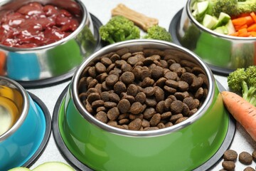 Dry pet food and natural products on light table, closeup