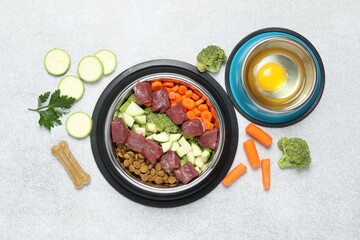 Dry pet food and natural products on light table, top view