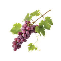 Fototapeta premium Branch of Red Grapes. PNG file for mock-up.