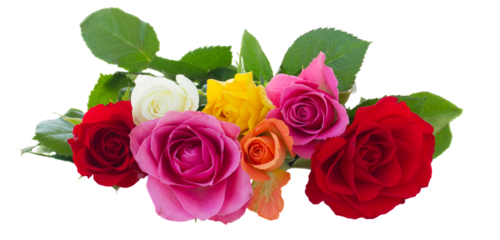 bouquet of fresh roses