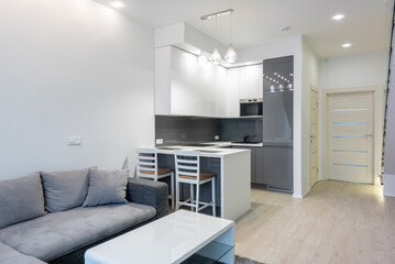 Modern open-plan apartment with gray sofa and small kitchen area. Minimalist design with light wood...