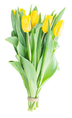 bouquet of  yellow  tulip flowers
