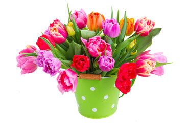 bouquet of  pink, purple and red  tulips
