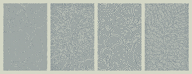 set of organic turing abstract lines pattern background. pack collection design