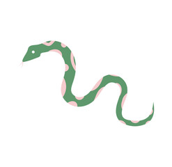 illustration of a cartoon snake