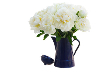 White peony flowers