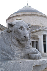 Stone lion at the Basilica di San Francesco di Paola in Piazza del Plebiscito, Naples, Campania, Italy.