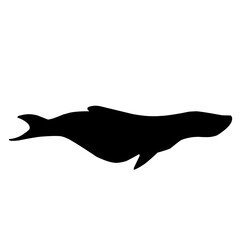 Mosasaurus Silhouette 