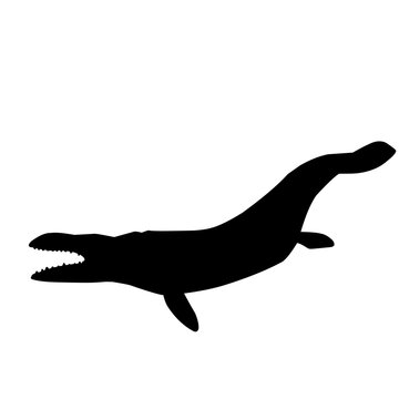 black mosasaur silhouette swimming white background clip art preview