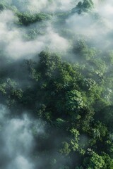 Bird's-eye view reveals dense forest enveloped in mist with soft light filtering through towering trees